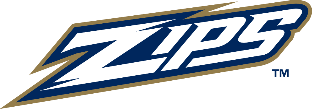 Akron Zips 2002-Pres Wordmark Logo v4 diy iron on heat transfer
